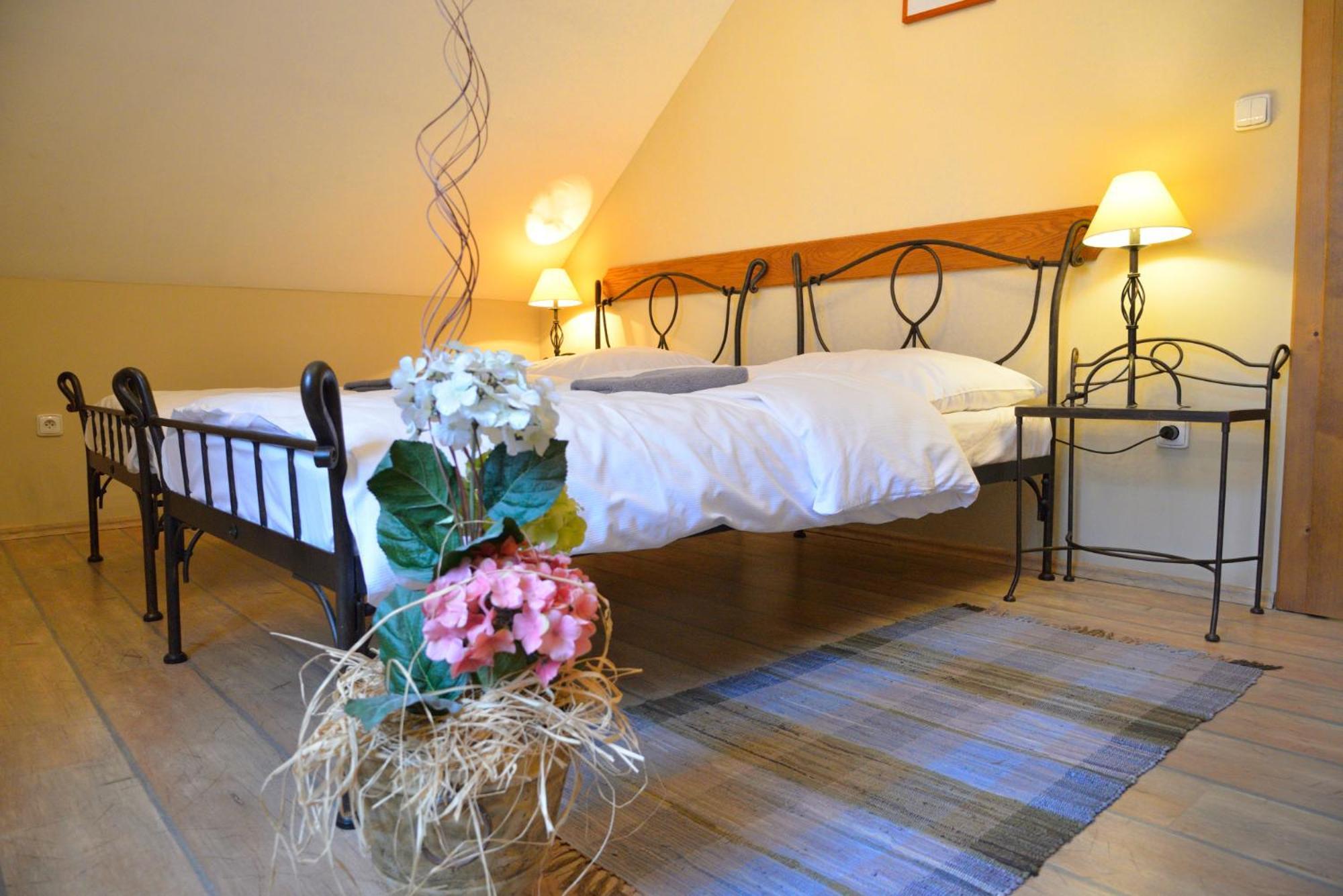 Hotel Via Ironia Vysoké Mýto Eksteriør bilde